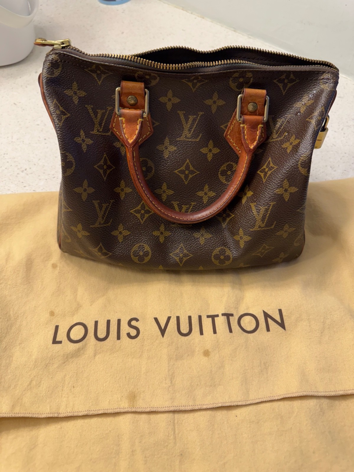 Louis Vuitton 1990s Vintage Speedy Handbag