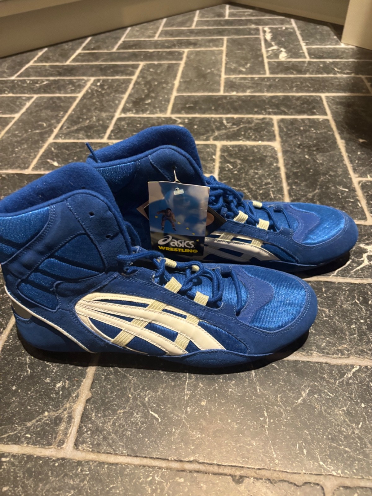 Vintage ASICS Wrestling Boxing Sneakers